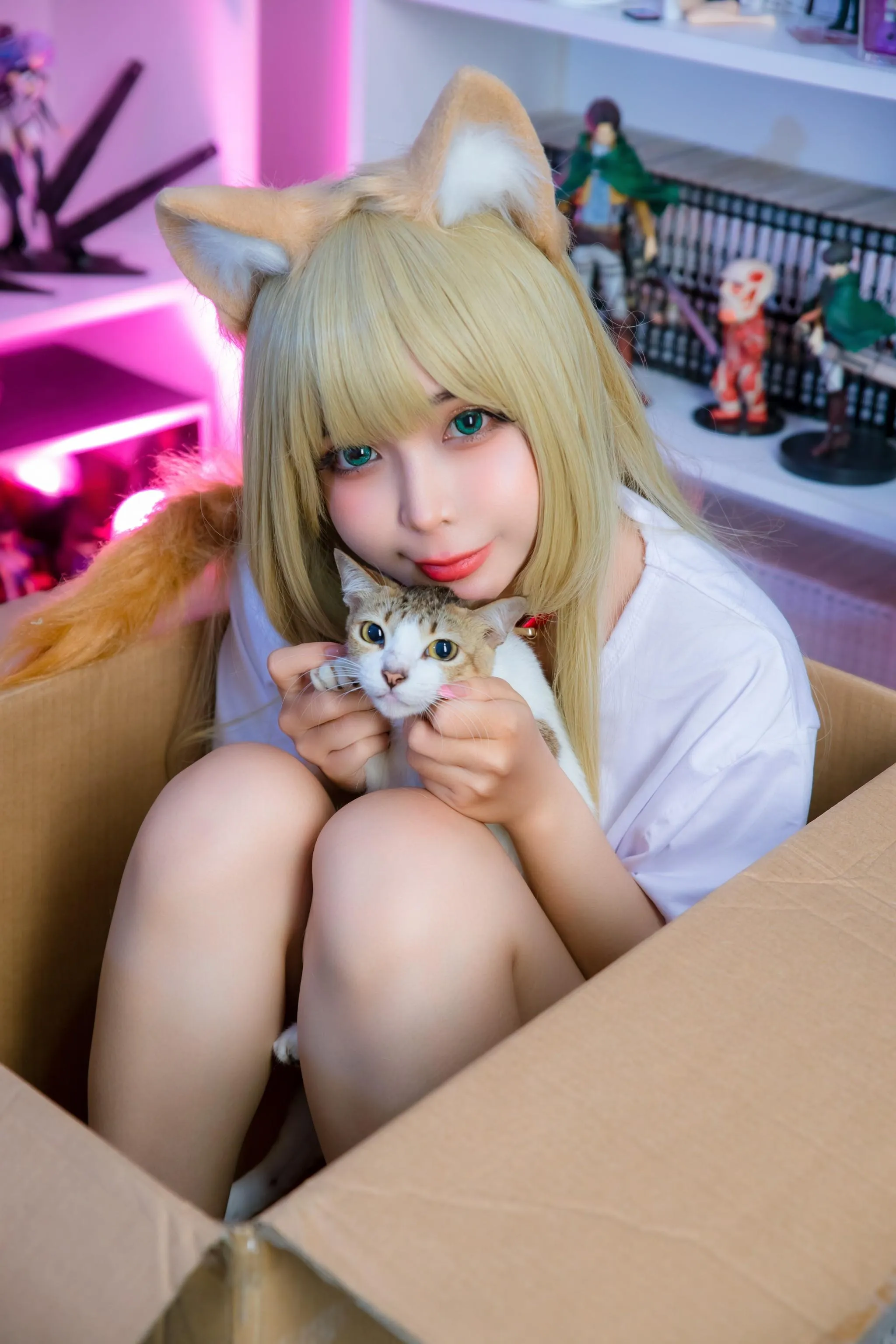 UmekoJ – NO.048 Kinako Neko [COMPLETE SET]-Kinako HD [71P]插图2